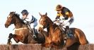 Image 24 in COTTENHAM  POINT TO POINT  25 NOV 2012