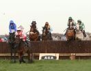 Image 27 in COTTENHAM  POINT TO POINT  25 NOV 2012