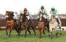 Image 28 in COTTENHAM  POINT TO POINT  25 NOV 2012