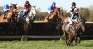 Image 3 in COTTENHAM  POINT TO POINT  25 NOV 2012