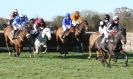 Image 4 in COTTENHAM  POINT TO POINT  25 NOV 2012