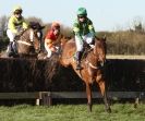 Image 5 in COTTENHAM  POINT TO POINT  25 NOV 2012