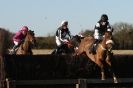 Image 6 in COTTENHAM  POINT TO POINT  25 NOV 2012