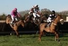 Image 7 in COTTENHAM  POINT TO POINT  25 NOV 2012