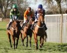 Image 9 in COTTENHAM  POINT TO POINT  25 NOV 2012