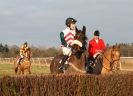 Image 16 in AMPTON. POINT TO POINT  13 JAN. 2013