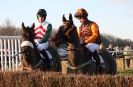 Image 17 in AMPTON. POINT TO POINT  13 JAN. 2013