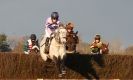 Image 18 in AMPTON. POINT TO POINT  13 JAN. 2013