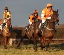 Image 19 in AMPTON. POINT TO POINT  13 JAN. 2013