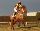 Image 20 in AMPTON. POINT TO POINT  13 JAN. 2013