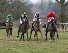 Image 4 in AMPTON. POINT TO POINT  13 JAN. 2013