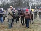 Image 6 in AMPTON. POINT TO POINT  13 JAN. 2013