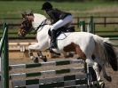 Image 67 in OVERA FARM STUD OUTDOOR SHOW JUMPING  18 APRIL 2015