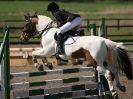 Image 67 in OVERA FARM STUD OUTDOOR SHOW JUMPING 18 APRIL 2015