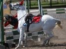 Image 70 in OVERA FARM STUD OUTDOOR SHOW JUMPING 18 APRIL 2015