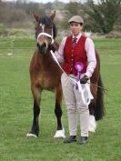 Image 13 in ADVENTURE RIDING CLUB SPRING SHOW 19 APRIL 2015