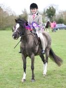 Image 15 in ADVENTURE  RIDING  CLUB  SPRING SHOW  19 APRIL 2015