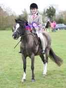 Image 15 in ADVENTURE RIDING CLUB SPRING SHOW 19 APRIL 2015