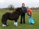 Image 18 in ADVENTURE RIDING CLUB SPRING SHOW 19 APRIL 2015