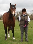 Image 2 in ADVENTURE RIDING CLUB SPRING SHOW 19 APRIL 2015
