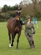 Image 24 in ADVENTURE RIDING CLUB SPRING SHOW 19 APRIL 2015