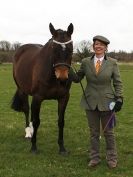 Image 25 in ADVENTURE RIDING CLUB SPRING SHOW 19 APRIL 2015