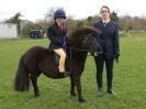 Image 27 in ADVENTURE RIDING CLUB SPRING SHOW 19 APRIL 2015