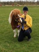 Image 28 in ADVENTURE RIDING CLUB SPRING SHOW 19 APRIL 2015