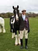 Image 29 in ADVENTURE  RIDING  CLUB  SPRING SHOW  19 APRIL 2015