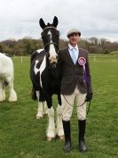 Image 29 in ADVENTURE RIDING CLUB SPRING SHOW 19 APRIL 2015