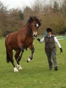 Image 32 in ADVENTURE RIDING CLUB SPRING SHOW 19 APRIL 2015
