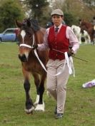 Image 34 in ADVENTURE RIDING CLUB SPRING SHOW 19 APRIL 2015