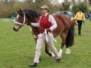 Image 35 in ADVENTURE RIDING CLUB SPRING SHOW 19 APRIL 2015
