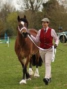 Image 37 in ADVENTURE RIDING CLUB SPRING SHOW 19 APRIL 2015
