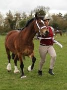 Image 39 in ADVENTURE RIDING CLUB SPRING SHOW 19 APRIL 2015