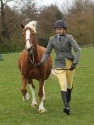 Image 40 in ADVENTURE RIDING CLUB SPRING SHOW 19 APRIL 2015