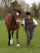Image 41 in ADVENTURE RIDING CLUB SPRING SHOW 19 APRIL 2015