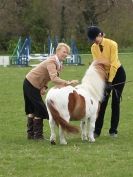 Image 42 in ADVENTURE RIDING CLUB SPRING SHOW 19 APRIL 2015