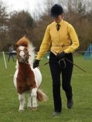 Image 43 in ADVENTURE  RIDING  CLUB  SPRING SHOW  19 APRIL 2015