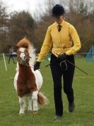 Image 43 in ADVENTURE RIDING CLUB SPRING SHOW 19 APRIL 2015