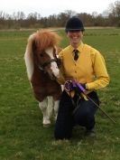 Image 45 in ADVENTURE RIDING CLUB SPRING SHOW 19 APRIL 2015