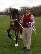 Image 46 in ADVENTURE RIDING CLUB SPRING SHOW 19 APRIL 2015