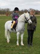 Image 47 in ADVENTURE RIDING CLUB SPRING SHOW 19 APRIL 2015