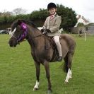 Image 5 in ADVENTURE RIDING CLUB SPRING SHOW 19 APRIL 2015