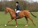 Image 61 in ADVENTURE RIDING CLUB SPRING SHOW 19 APRIL 2015