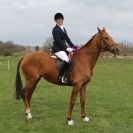 Image 62 in ADVENTURE RIDING CLUB SPRING SHOW 19 APRIL 2015