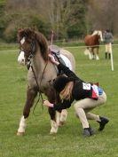 Image 66 in ADVENTURE RIDING CLUB SPRING SHOW 19 APRIL 2015