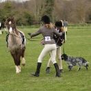 Image 67 in ADVENTURE RIDING CLUB SPRING SHOW 19 APRIL 2015