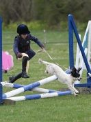 Image 70 in ADVENTURE RIDING CLUB SPRING SHOW 19 APRIL 2015