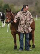 Image 72 in ADVENTURE RIDING CLUB SPRING SHOW 19 APRIL 2015